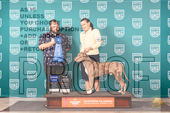 LCLD #207 Sun G1GCH Judge Will Chrazanowski__JP_2336_UKCEastern_2024_HR3