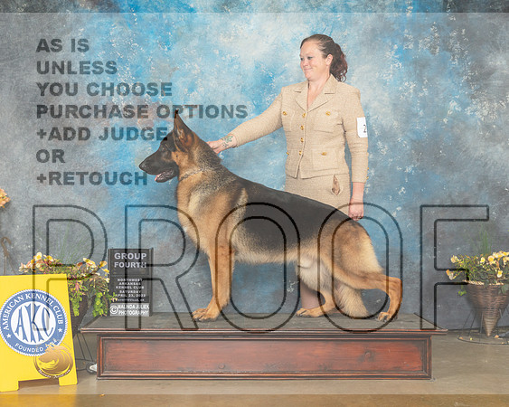 German Shepherd Dog #21 Sun G4 Judge Laurie Telfair-MMJ_1759-NWARK2022-HR3