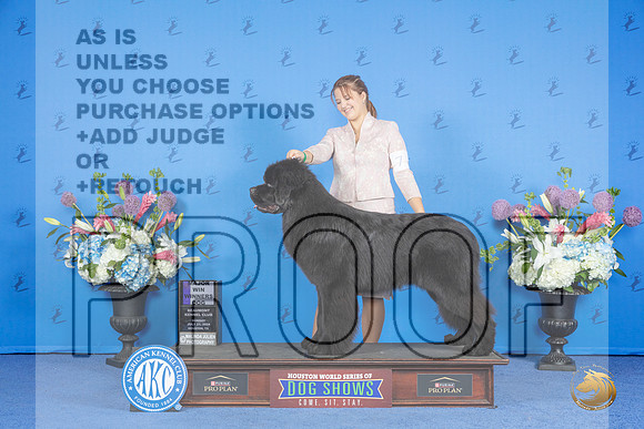 Newfoundland #7 SUN WD Judge Ronald Freeman__JP_0550_Houston_2024_HR3
