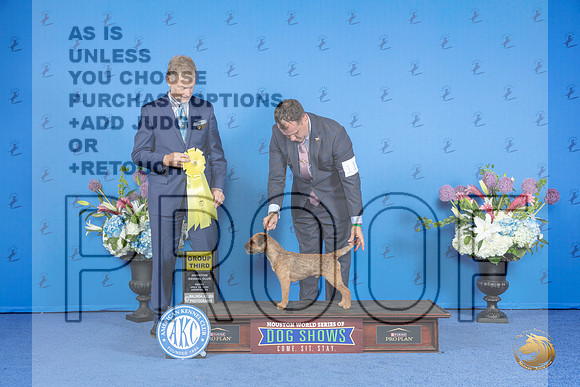 Border Terrier #11 FRI G3 Judge Ronald Freeman__JP_9476_Houston_2024_HR3