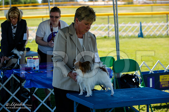 _JN_5070-AlamogordoOct2014-HR3