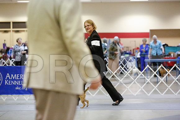 _JN_5811-AmarilloSept2014-HR3