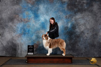 Australian Shepherd @255 Sun NCh Judge Chandra Martin