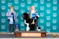 Poodle Std MC #128 Fr G1 Judge Mary Ellen Meyer