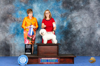 Bichon Frise #9 WED WD BOW NC Judge Denise Flaim