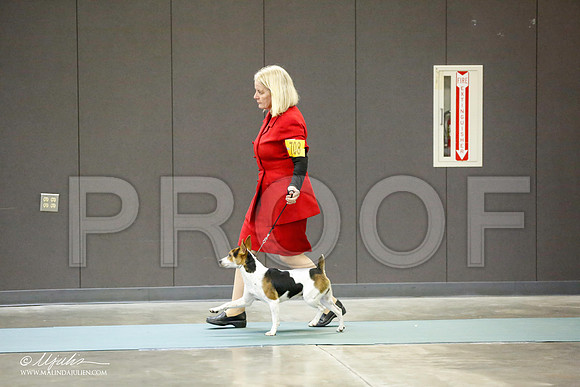 _RH_0384-BeltonJan2015-HR3