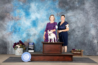 French Bulldog #21 Sat BOW Judge Sulie Greendale-Paveza
