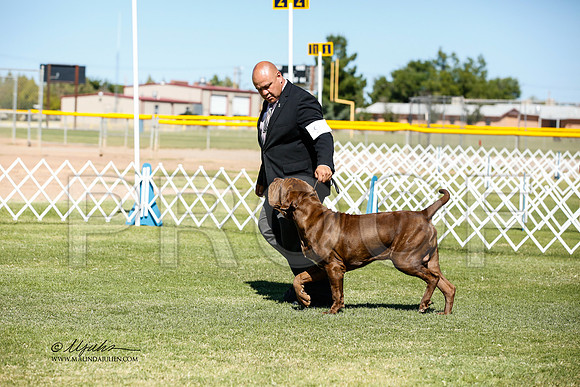 _JN_0720-AlamogordoOct2014-HR3