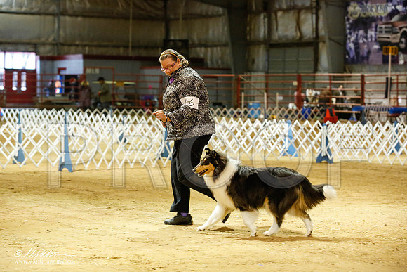 _JN_3615-2-GlenRoseJan2015-HR3