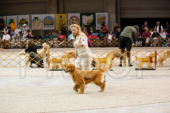 BBEb-9262-WFOct2013-HR