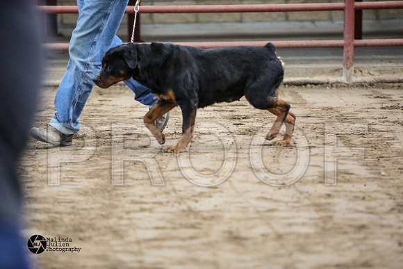 MJ2_0845-WacoFeb14-HR
