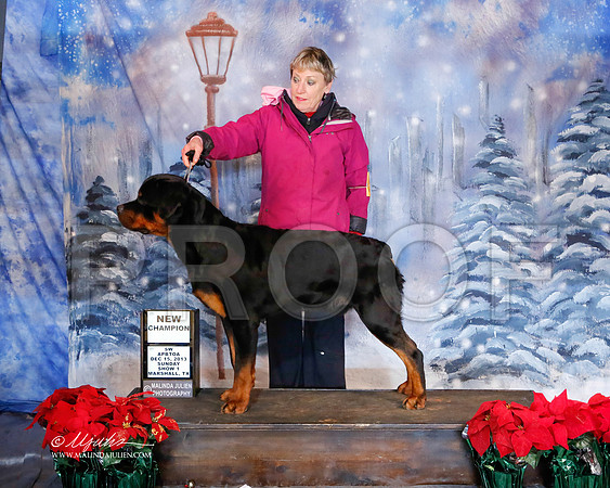rott-6501-MrshlDec13-HR