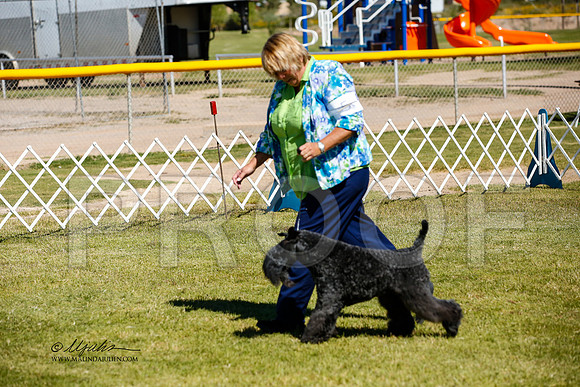 _JJ_3341-AlamogordoOct2014-HR3