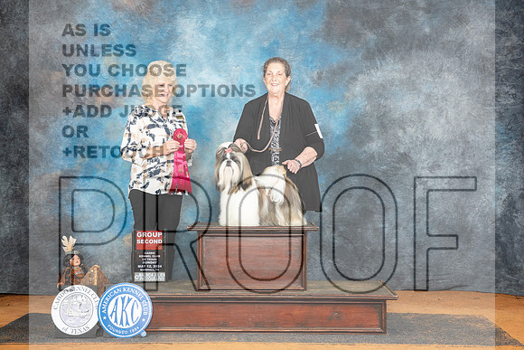 Shih Tzu #8 Sun G2 Judge Lisa Graser__JP_8752_MARSHALL_2024_HR3