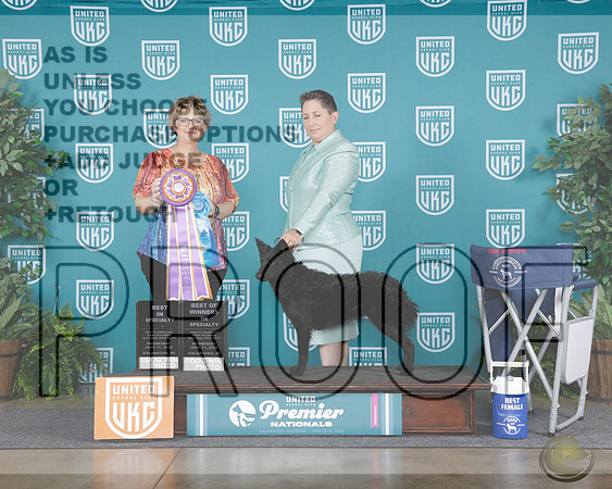 Judge Jennifer Landers_WP_8066-UKC Premier 2025-HR3