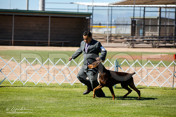 _JN_5964-AlamogordoOct2014-HR3