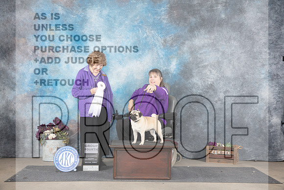 Pug #6 Sat G4 Judge Donelle Richards__JP_7179_Belton_2024_HR3