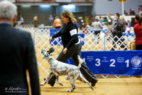Setters English Sat Ring