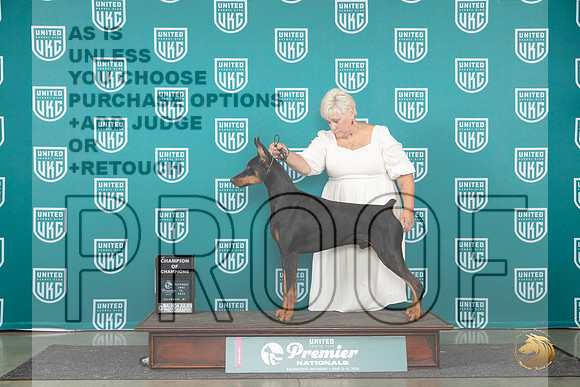Doberman Pinscher #1263 Sat COC1 Judge Lori Sargent__JP_2110_Premier_2024_HR3