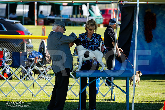 _JN_4453-AlamogordoOct2014-HR3