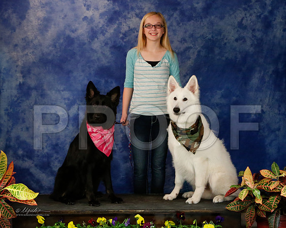 GSD-9182-NormNov13-HR