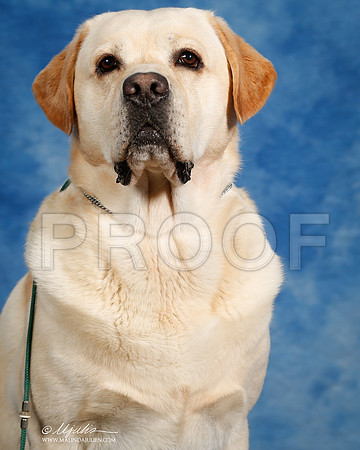 _ST_6890-SAJul2014-HR3