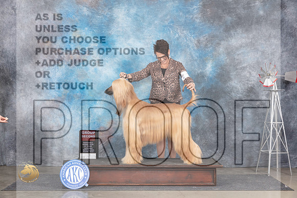 Afghan Hound #6 Sat G2 Judge Pat Trotter__JP_5977_Amarillo_2024_HR3