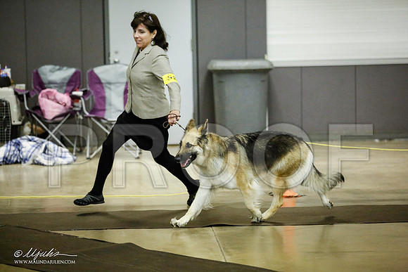 _JJ_7024-BeltonJan2015IABCA-HR3