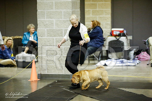 _JJ_5702-BeltonJan2015IABCA-HR3