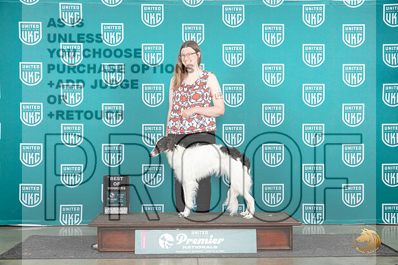 Silken Windhound #1052 Fri BOW Judge Kathie Short__JP_1654_Premier_2024_HR3