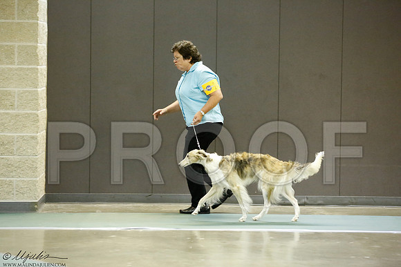 _J3L1856-BeltSep2014-HR