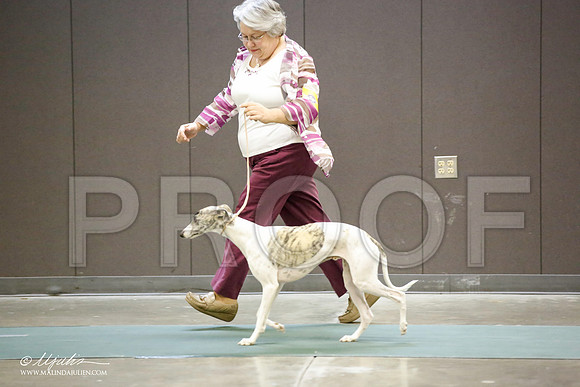 _JN_5256-BeltonJan2015-HR3