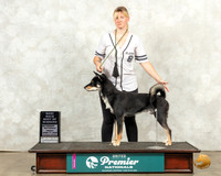 Shikoku #741 Fri BOW Judge Jeanne Heger