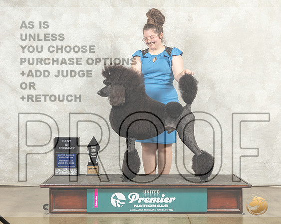 Poodle Std #? Wed BISS Sharon Griffin__MJ_8086_Premier_2022_HR3