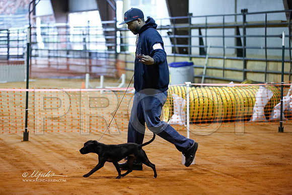 staffy-3489-MrshlDec13-HR