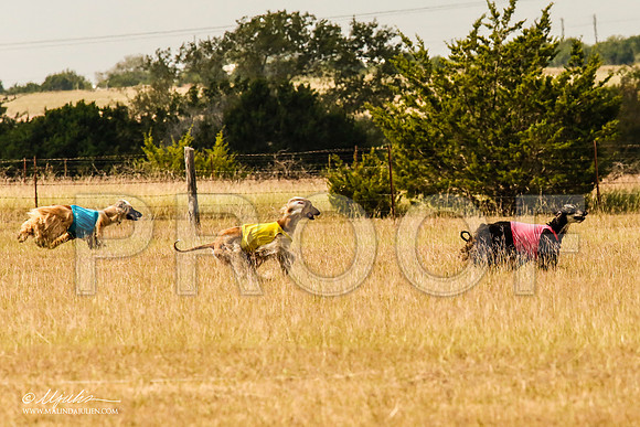 _MJ_5331-AfgBeltonOct2014-HR3