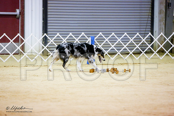 _JN_7120-ASCACollegeStationNov2014-HR3