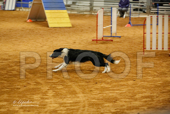 FExc16S-0704-BltnNov13-HR