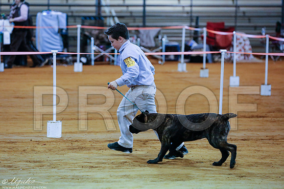 _RH_2196-MarshDec2014-HR