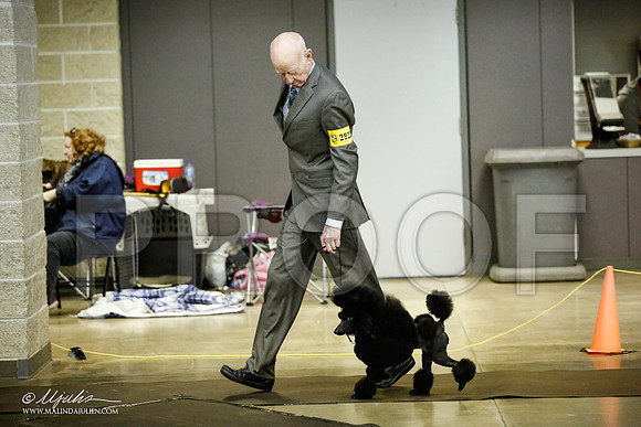 _JJ_5605-BeltonJan2015IABCA-HR3