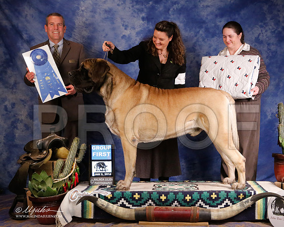 Mastiff-5379-GRJan14-HR