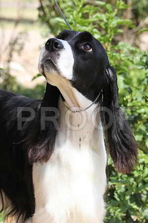 MJS_3918