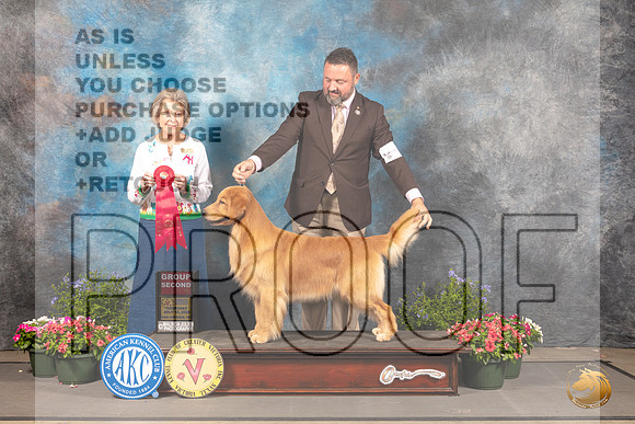 Golden Retriever #6 G2 Judge Anne Bolus_MJ_0050_SA_2022_HR3