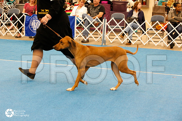 RHOD-0455-FWMar14-HR