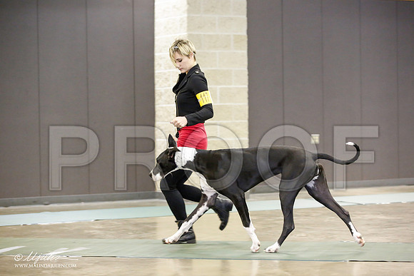 _JN_2111-BeltonJan2015-HR3