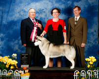 #13 Sun AOM Melissa Long Bruce Barnes Tom Schonberger  Judge Dr Donald Gill