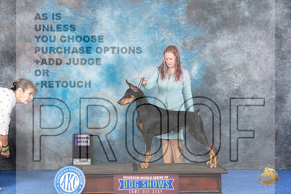 Doberman #28 WED WB Judge Alisa Brotherhood__JP_6700_Houston_2024_HR3