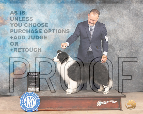 Border Collie #? Fri G4 Judge Eric Liebes-MMJ_3395-Addison2022-HR3