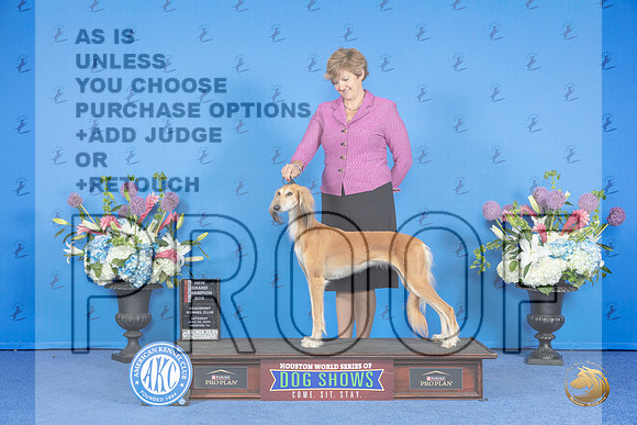 Saluki #22 SAT BOS NGC Judge Rick Martin__JP_0033_Houston_2024_HR3