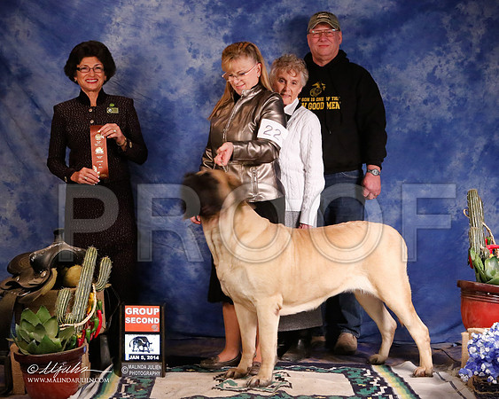 Mastiff-5519-GRJan14-HR